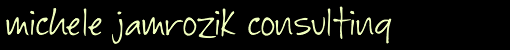 michele jamrozik consulting